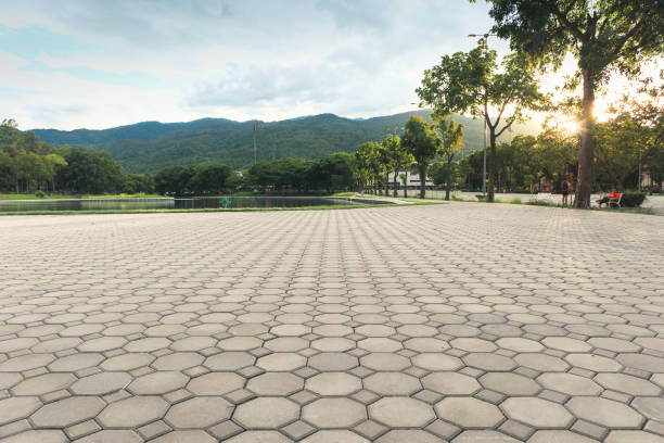 Best Residential Driveway Paver Services  in Mayville, MI