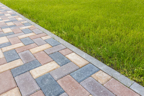 Best Professional Driveway Pavers  in Mayville, MI